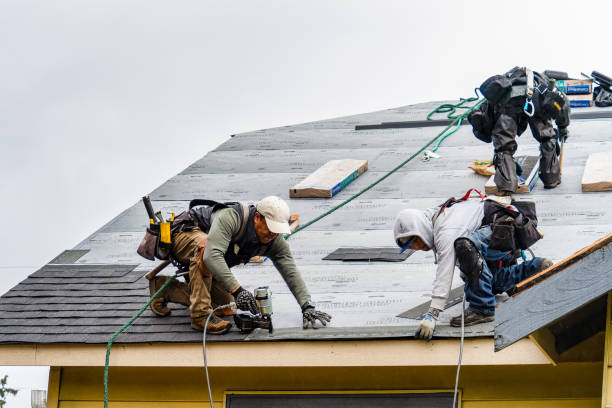 Professional Gutter Installation technician working in Chatham, IL